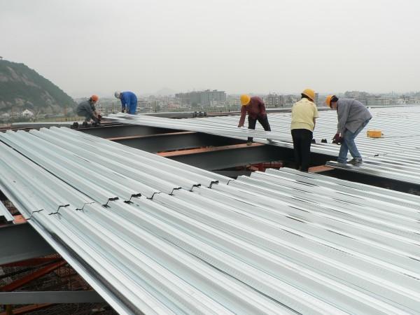 Petit pain de plate-forme de plancher de structure métallique formant la machine pour la plate-forme de toit, tuile en acier TW-FD1250